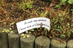 Et aussi 43 * 5184 x 3456 * (8.53MB)